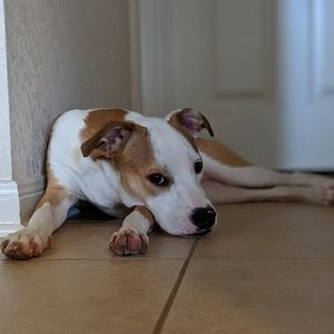 Meet your Posher, Sean